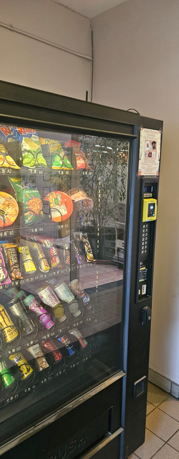 photo 2026 02 19 00 11 56